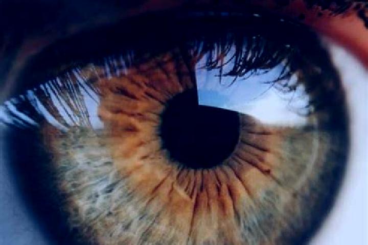 10 escort profiles in Marrum, Netherlands. Browse companions, services, rates and book online. Incall and outcall available.