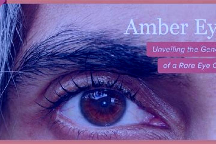 10 escort profiles in Sumagui, Philippines. Browse companions, services, rates and book online. Incall and outcall available.