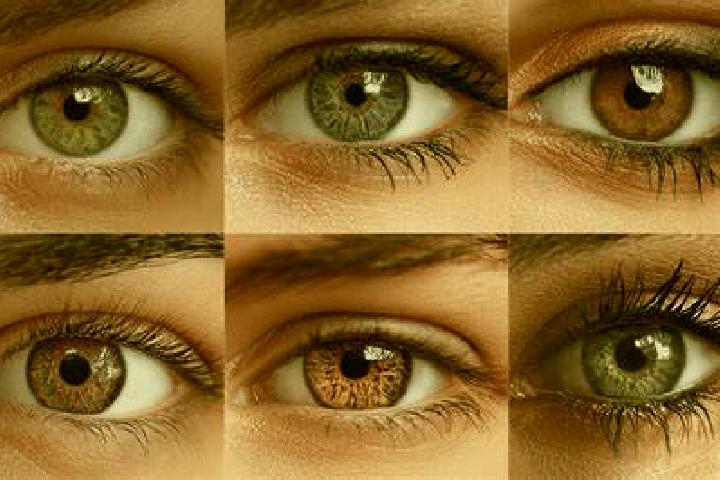 14 escort profiles in Pitkyaranta, Russia. Browse companions, services, rates and book online. Incall and outcall available.