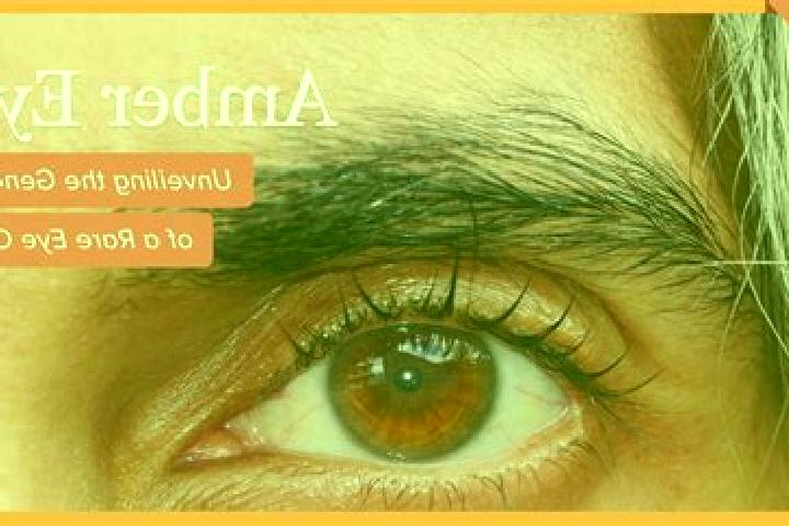 9 escort profiles in Yelbarga, India. Browse companions, services, rates and book online. Incall and outcall available.