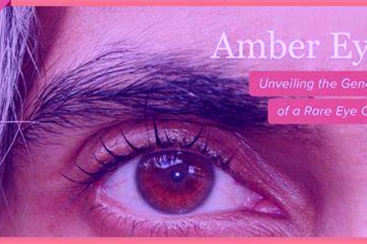 Addison, 26, a chestnut blue-eyed ebony companion based in Pojiao. Offering 69, Overnight, A-Level, BDSM. Available for incall and outcall, day and evening d...