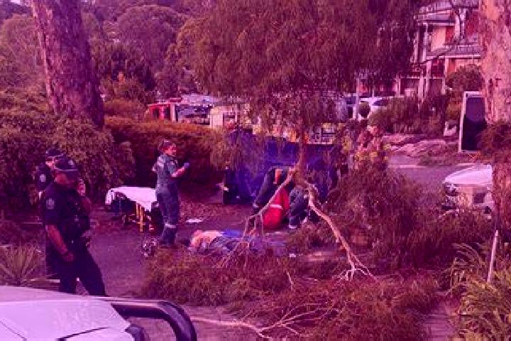 Alice, 21, a auburn blue-eyed caucasian companion based in Roma. Offering Couples, Girlfriend Experience, OWO. Available for incall and outcall, day and even...