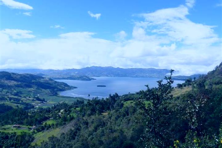 Alice, 39 — Escort in Almarza de Cameros, Spain