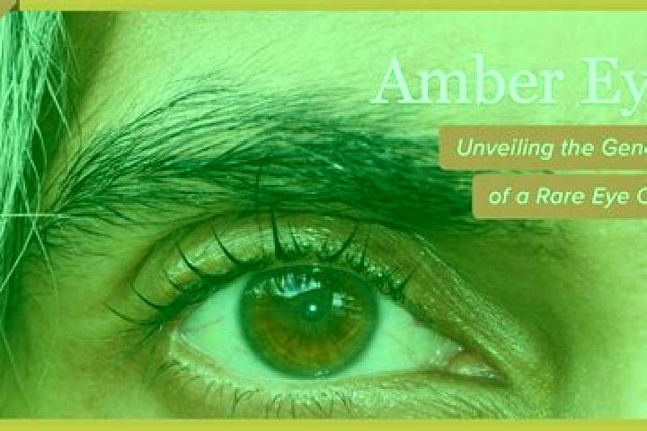 Amelia, 23, a red amber-eyed caribbean companion based in Badoc. Offering Prostate Massage, Massage, GFE. Available for incall and outcall, day and evening d...