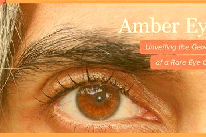 Amelia, 24, a platinum blonde grey-eyed slavic companion based in Sitia. Offering 69, Roleplay, Travel Companion. Available for incall and outcall, day and e...