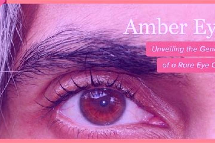 Amelia, 38, a black dark-eyed mixed companion based in Bhit Shah. Offering Tantra, Overnight, Fetish. Available for incall and outcall, overnight bookings av...