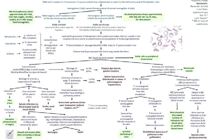 Aria, 21 — Escort in Kalaru, Australia