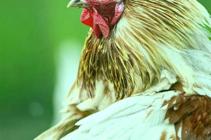 Aria, 28 — Escort in Pisecna, Czech Republic