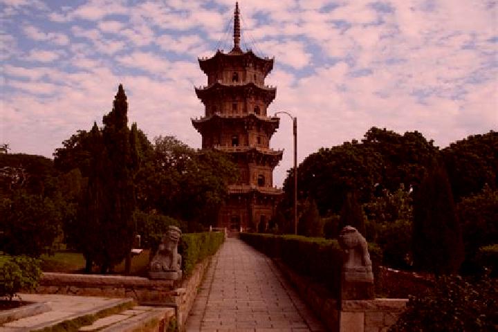 Ariana, 23 — Escort in Villa Cuauhtemoc, Mexico