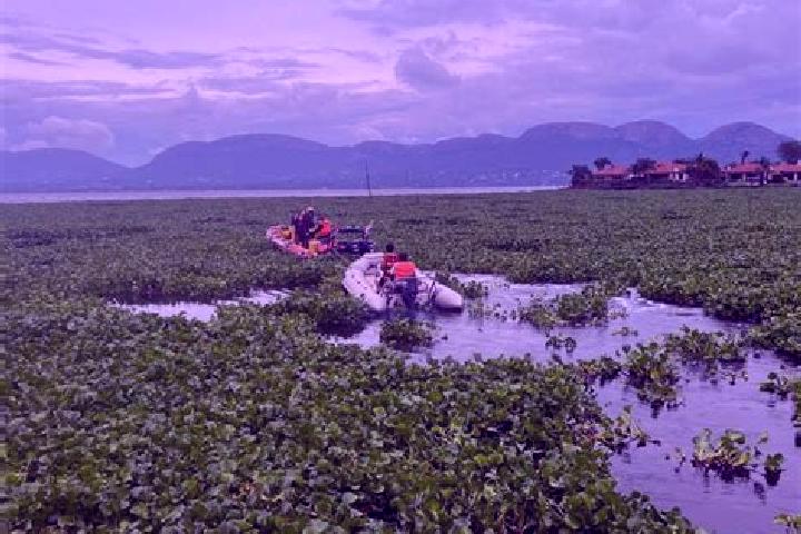 Aubrey, 29 — Escort in Serranopolis do Iguacu, Brazil
