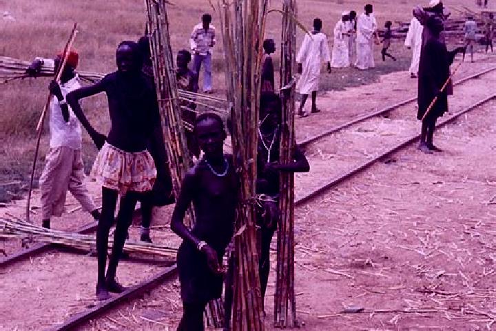 Ava, 23 — Escort in Grimmelshausen, Germany