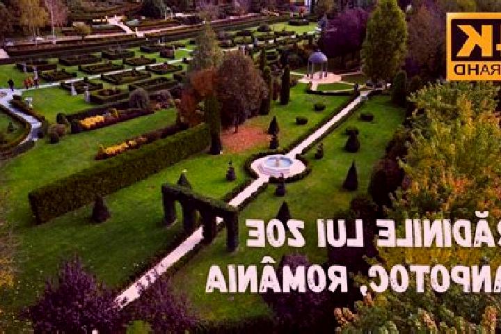 Ava, 30 — Escort in Lugoff, United States