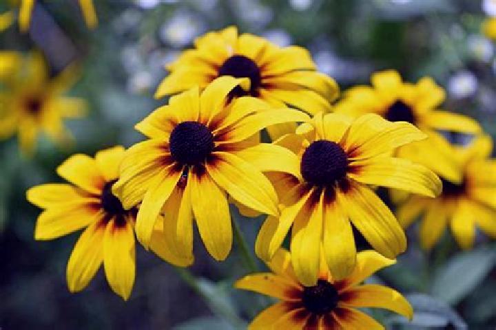 Avery, 21, a platinum blonde amber-eyed indian companion based in Amethyst Harbour. Offering Girlfriend Experience, Fetish, Duos, Deep French Kissing, Erotic...