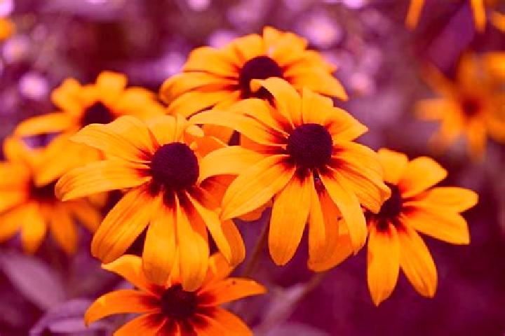 Avery, 24 — Escort in Augusta, United States