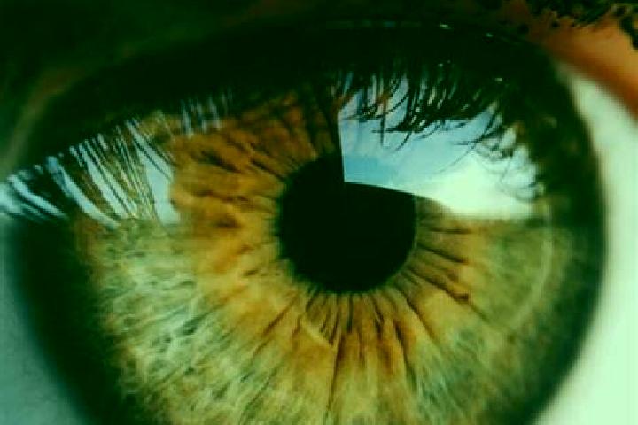 Avery, 30, a red dark-eyed mediterranean companion based in Navis. Offering Deep French Kissing, Fetish, Tantra, Girlfriend Experience. Available for incall ...