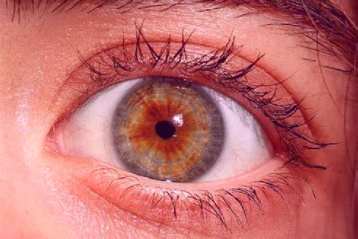 Avery, 31, a auburn brown-eyed caucasian companion based in Geitelde. Offering Dinner Date, Couples, CIM, BDSM, Deep French Kissing. Available for incall and...