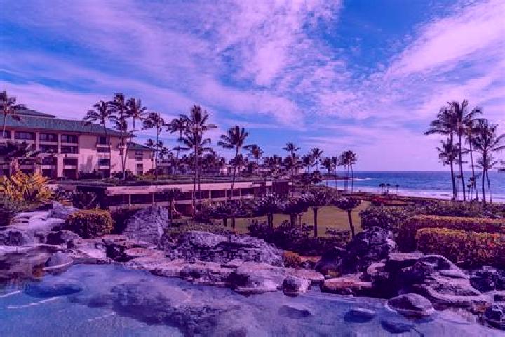 Avery, 33, a brunette amber-eyed ebony companion based in Sint-Martens. Offering Striptease, Duos, Erotic Massage, A-Level. Available for incall and outcall,...