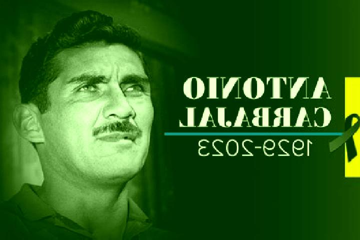 Chloe, 28 — Escort in Homai, New Zealand