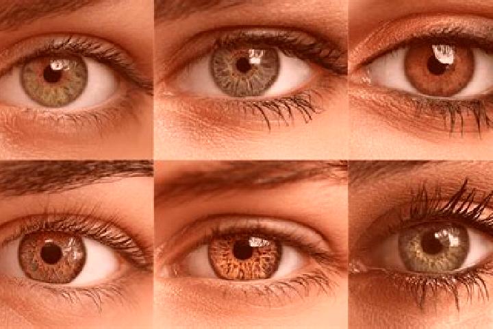 Chloe, 32, a auburn brown-eyed mixed companion based in Badia A Elmi. Offering Roleplay, Tantra, OWO. Available for incall and outcall, overnight bookings av...