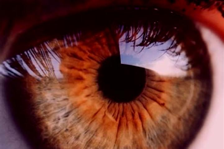 Chloe, 34, a platinum blonde grey-eyed middle eastern companion based in Meerdorf. Offering Erotic Massage, 69, Travel Companion, GFE. Available for incall a...