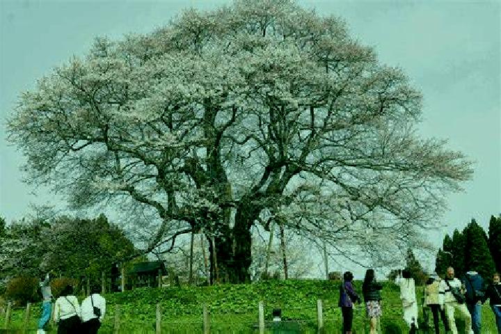 Eleanor, 23 — Escort in Liaoyang, China