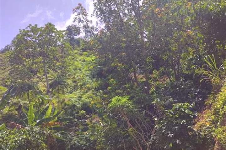 Elizabeth, 30, a platinum blonde grey-eyed mixed companion based in Rutland Park. Offering Prostate Massage, A-Level, CIM, BDSM. Available for incall and out...