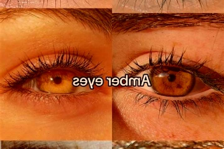 Elizabeth, 31, a chestnut green-eyed latina companion based in Gugang. Offering Overnight, Travel Companion, Duos. Available for incall and outcall, day and ...