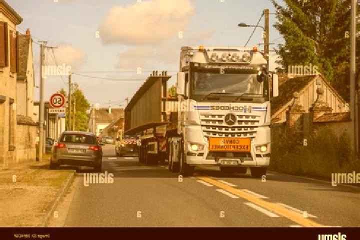 Elizabeth, 39 — Escort in Spring Lake Park, United States