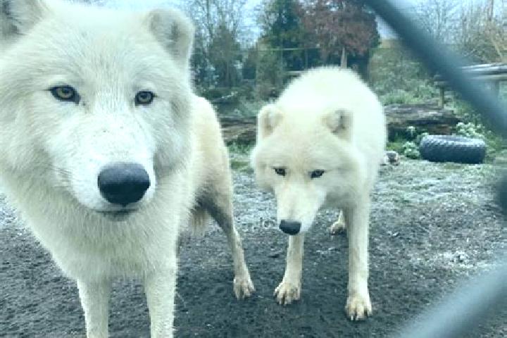 Ella, 20 — Escort in Kham Khuean Kaeo, Thailand