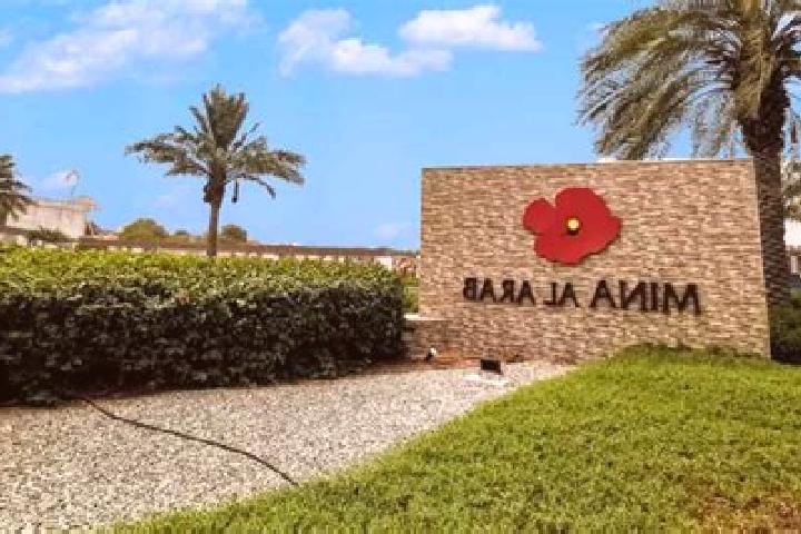 Ella, 29 — Escort in Vladimir, Romania