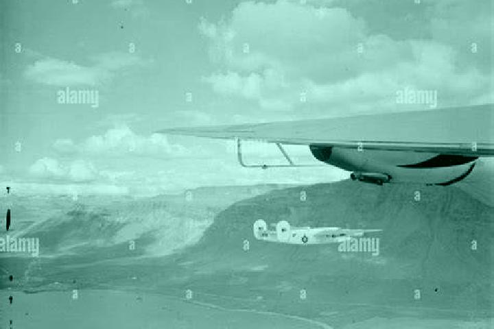 Ellie, 20 — Escort in Drentwede, Germany