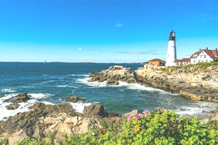 Ellie, 21, a auburn dark-eyed middle eastern companion based in Saint Elmo. Offering OWO, Tantra. Available for incall and outcall, overnight bookings availa...