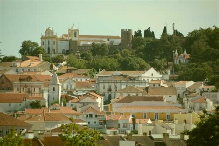 Ellie, 27 — Escort in Nguigmi, Niger