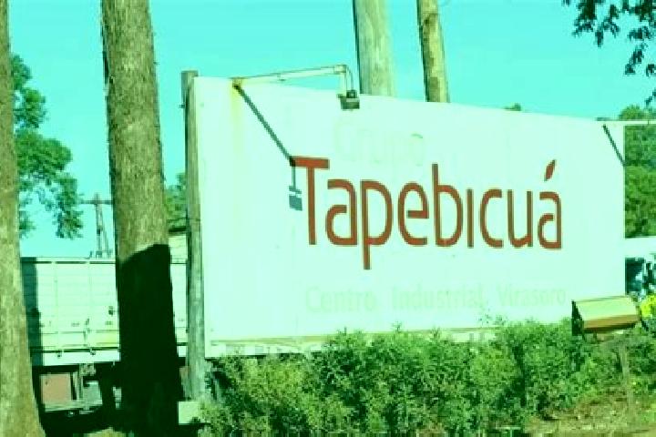 Ellie, 28 — Escort in Berbeluk Timur, Indonesia