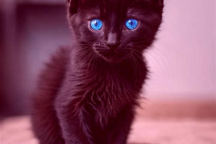 Emily, 24, a dark blonde hazel-eyed slavic companion based in Mandaluyong. Offering Deep French Kissing, Erotic Massage. Available for incall and outcall, ov...
