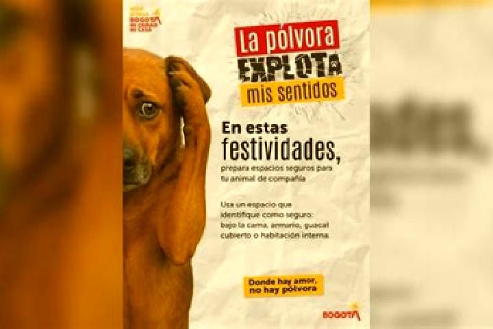 Emily, 27, a blonde amber-eyed mixed companion based in Calgary. Offering Girlfriend Experience, Prostate Massage, Duos, Striptease. Available for incall and...