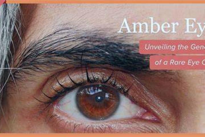 Emma, 23, a brunette grey-eyed european companion based in Cranford. Offering Tantra, CIM, A-Level. Available for incall and outcall, day and evening dates.