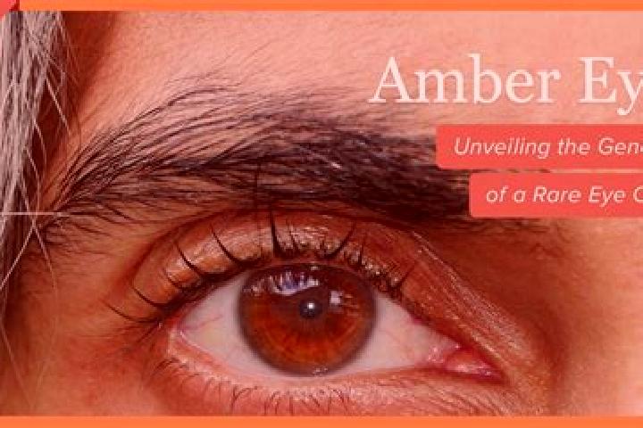 Emma, 25, a platinum blonde amber-eyed european companion based in Villers-devant-Orval. Offering Girlfriend Experience, Deep French Kissing. Available for i...
