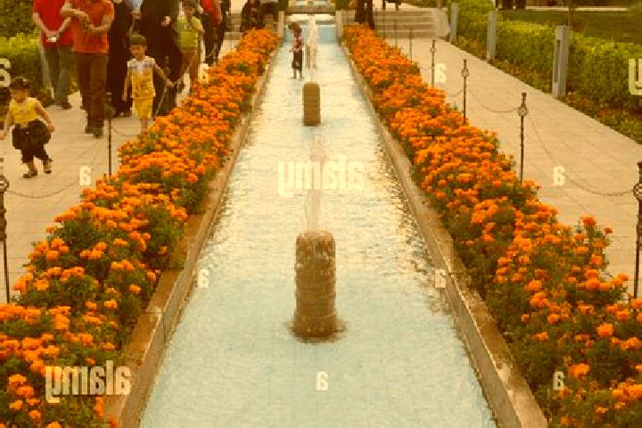 escort Bagh-e Behzad