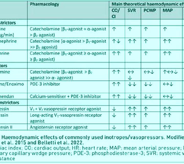 escort Belpre