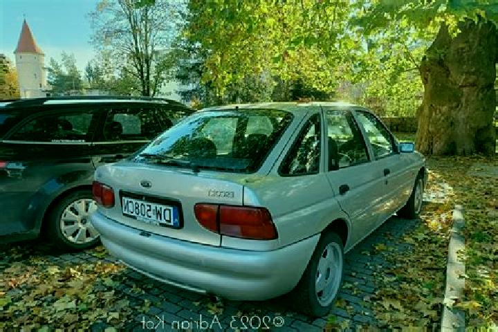 escort Bertignat