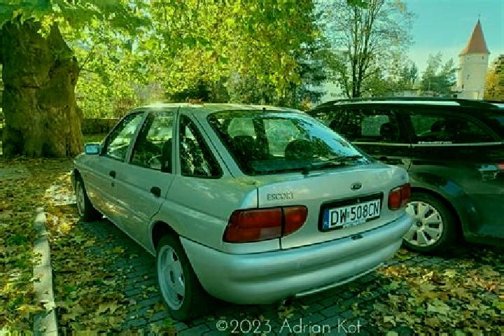 escort Bevaix