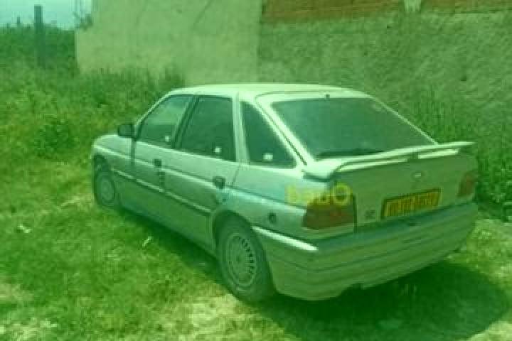escort Blida