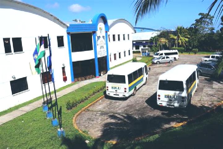 escort Bluefields