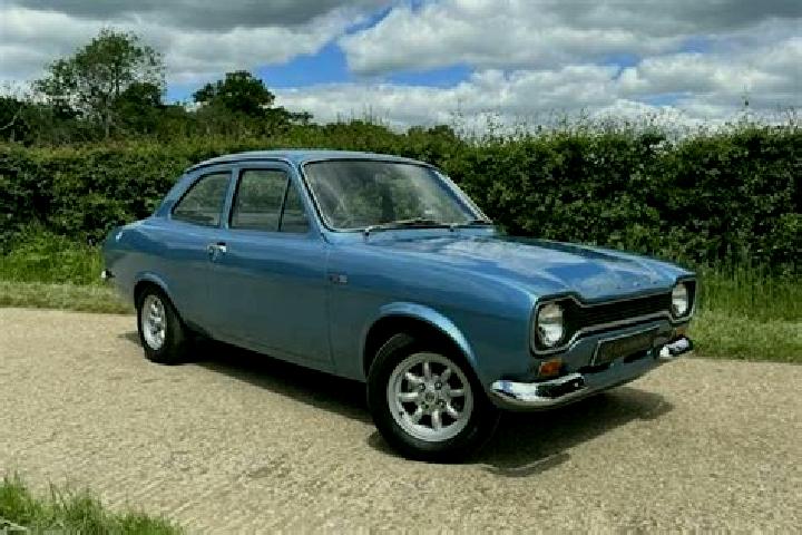 escort Bluffview