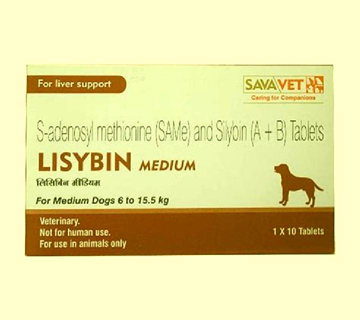 escort Chesma