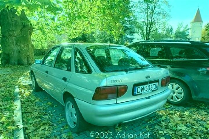 escort Cigenca