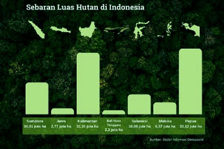 escort Data Dian