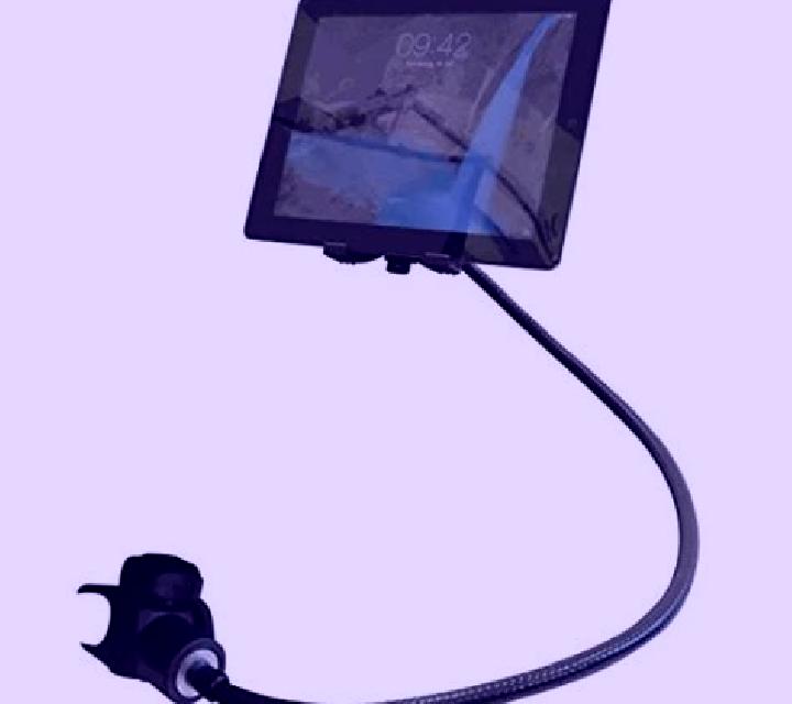 escort Edgeley