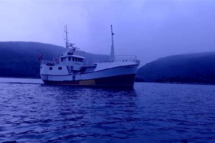 escort Eivindvik